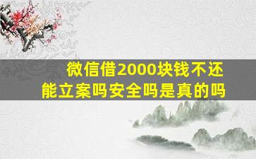 微信借2000块钱不还能立案吗安全吗是真的吗