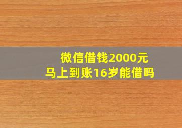 微信借钱2000元马上到账16岁能借吗