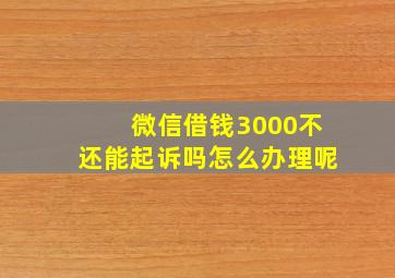 微信借钱3000不还能起诉吗怎么办理呢