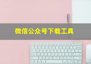 微信公众号下载工具