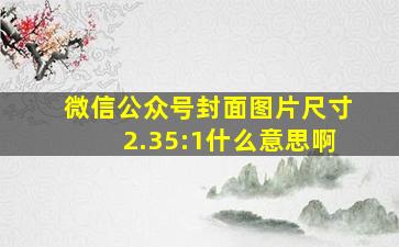 微信公众号封面图片尺寸2.35:1什么意思啊