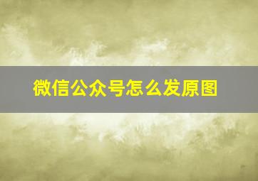 微信公众号怎么发原图