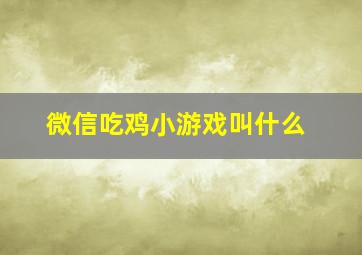 微信吃鸡小游戏叫什么