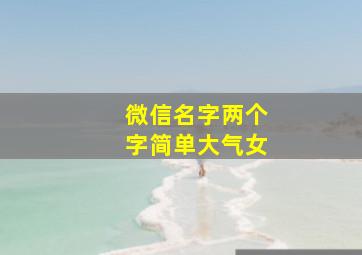 微信名字两个字简单大气女