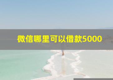 微信哪里可以借款5000