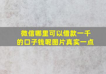 微信哪里可以借款一千的口子钱呢图片真实一点