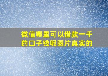 微信哪里可以借款一千的口子钱呢图片真实的