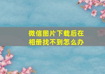 微信图片下载后在相册找不到怎么办