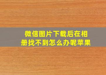 微信图片下载后在相册找不到怎么办呢苹果