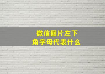 微信图片左下角字母代表什么