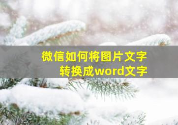 微信如何将图片文字转换成word文字