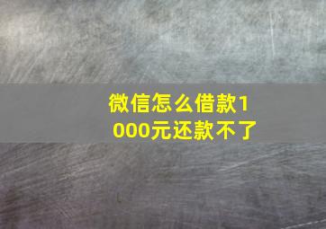 微信怎么借款1000元还款不了