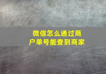 微信怎么通过商户单号能查到商家