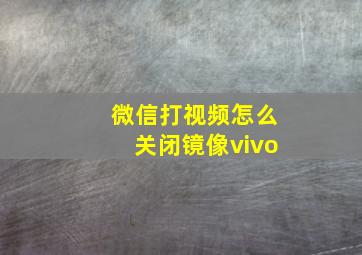 微信打视频怎么关闭镜像vivo