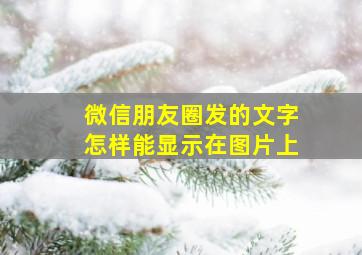 微信朋友圈发的文字怎样能显示在图片上