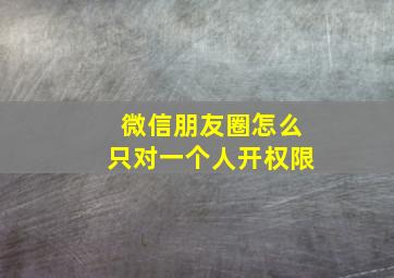 微信朋友圈怎么只对一个人开权限