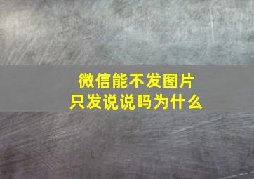 微信能不发图片只发说说吗为什么