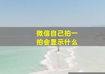 微信自己拍一拍会显示什么