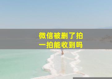 微信被删了拍一拍能收到吗