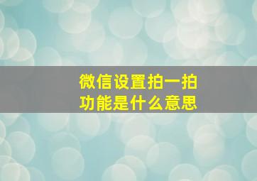 微信设置拍一拍功能是什么意思