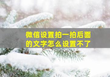 微信设置拍一拍后面的文字怎么设置不了