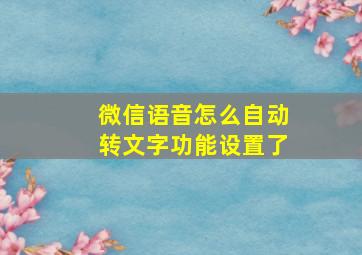 微信语音怎么自动转文字功能设置了