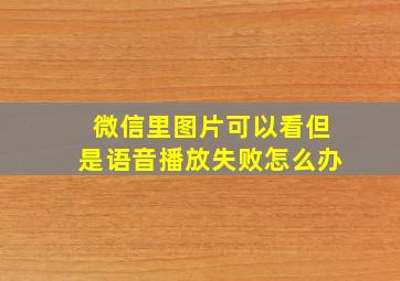 微信里图片可以看但是语音播放失败怎么办