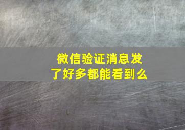 微信验证消息发了好多都能看到么