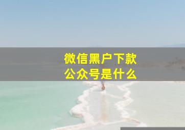 微信黑户下款公众号是什么