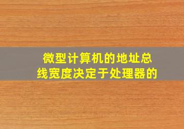 微型计算机的地址总线宽度决定于处理器的