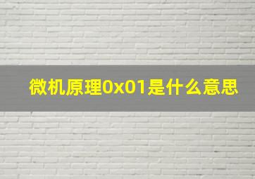 微机原理0x01是什么意思