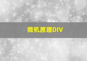 微机原理DIV