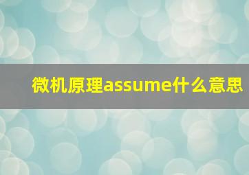 微机原理assume什么意思