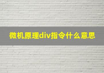 微机原理div指令什么意思