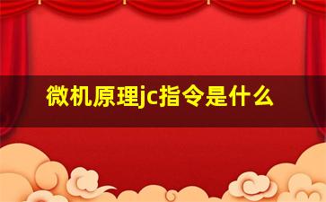 微机原理jc指令是什么