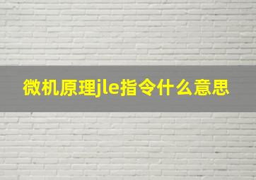 微机原理jle指令什么意思