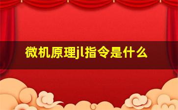 微机原理jl指令是什么