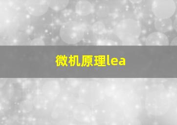 微机原理lea