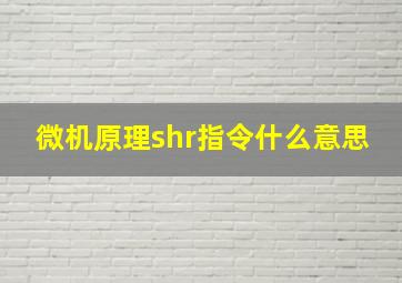 微机原理shr指令什么意思