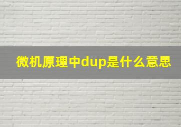 微机原理中dup是什么意思