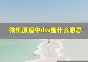 微机原理中dw是什么意思