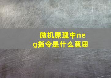 微机原理中neg指令是什么意思