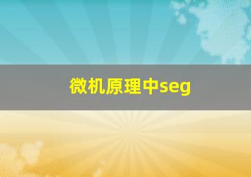 微机原理中seg