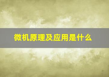 微机原理及应用是什么