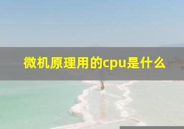 微机原理用的cpu是什么