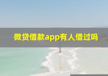 微贷借款app有人借过吗