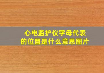 心电监护仪字母代表的位置是什么意思图片