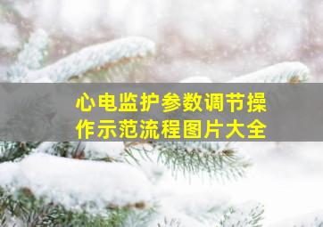 心电监护参数调节操作示范流程图片大全