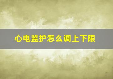 心电监护怎么调上下限