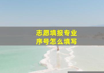 志愿填报专业序号怎么填写